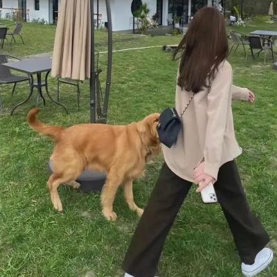 自杀理论